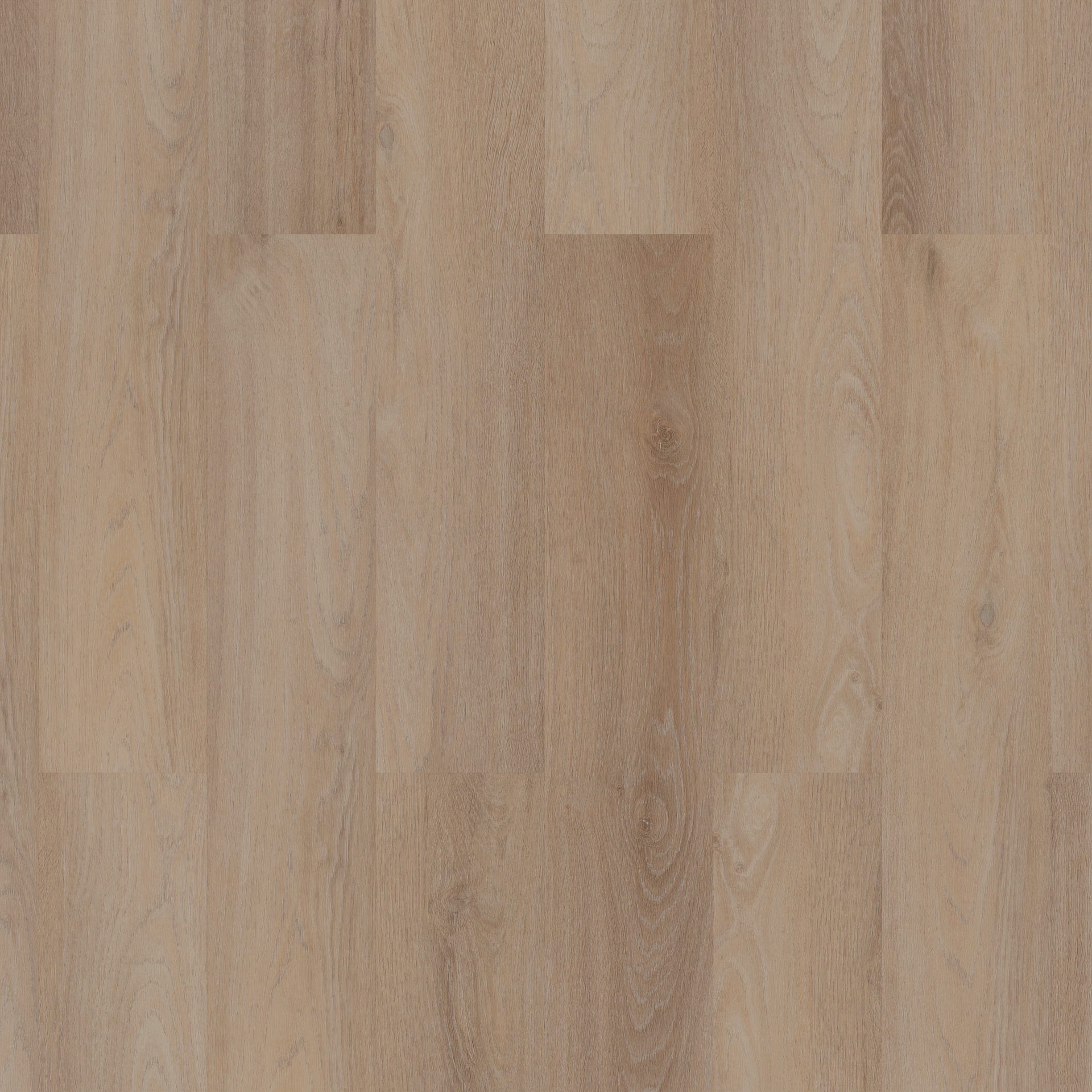 ROOM5 Royal Champagne Planks
