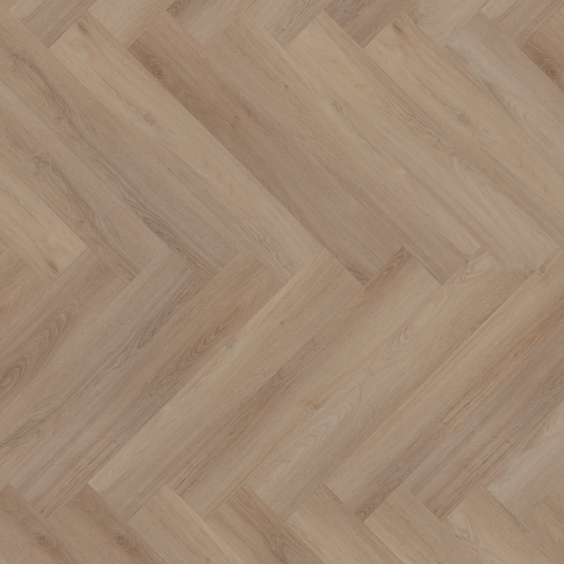 ROOM5 Royal Champagne Planks visgraat